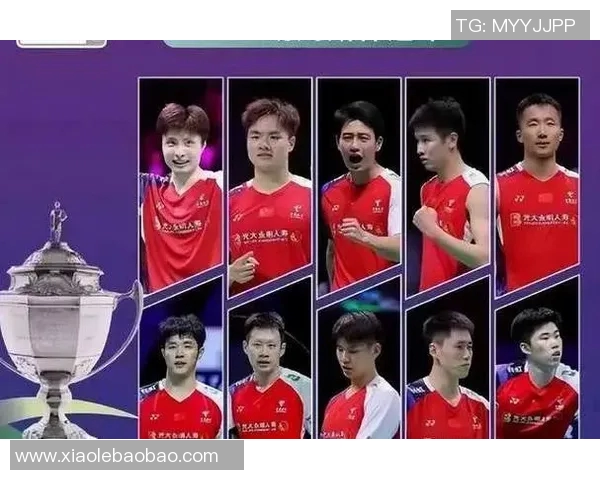 成都羽毛球队意识对比深度解析与发展趋势探讨