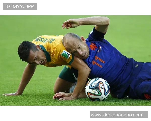 当裁判的足球明星如何在绿茵场上平衡公正与激情的双重角色