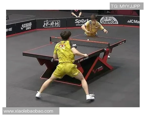 成都篮球队以88分领跑大满贯积分榜展现强劲实力