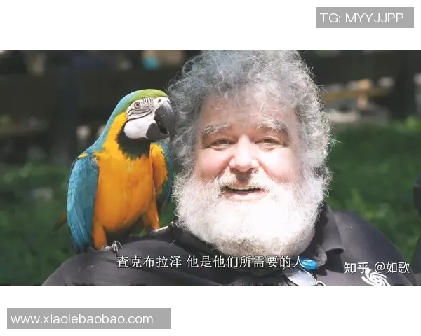 拼装足球明星的真实身份揭秘与背后故事分析 拼装足球明星的真实身份揭秘与背后故事分析