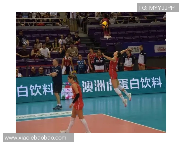 深圳排球队的精神世界与排球文化的深度探索与传承