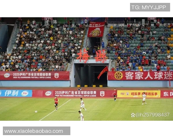 广州足球明星的崛起与发展探索以及他们对城市的影响