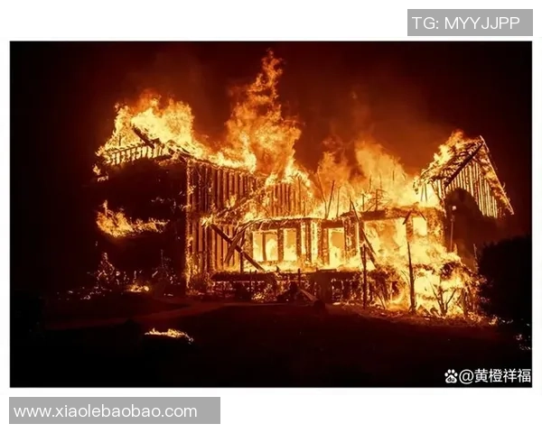 意大利足球明星因火灾事件引发热议房子被烧毁背后真相揭秘