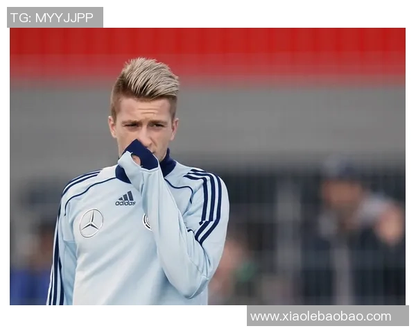 搞笑足球明星罗伊斯的趣事与精彩瞬间大揭秘