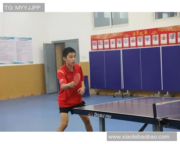 杨军独家分享乒乓球技巧与心得助你提升球技的全面指南