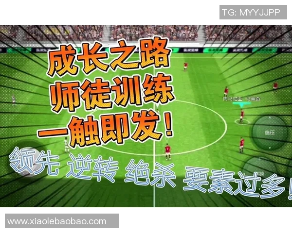 探索足球明星的成长之路与技艺传承教学设计方案 探索足球明星的成长之路与技艺传承教学设计方案