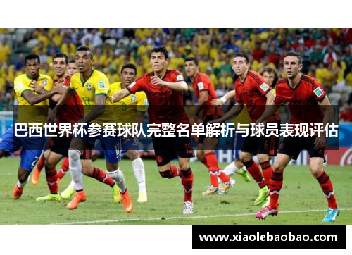 巴西世界杯参赛球队完整名单解析与球员表现评估