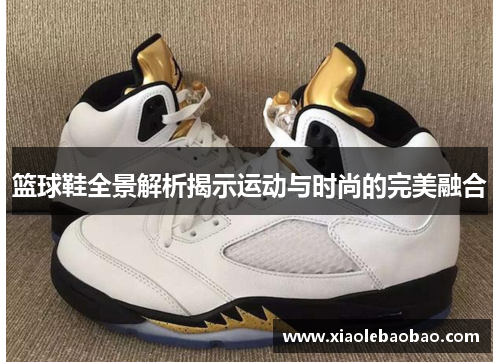 篮球鞋全景解析揭示运动与时尚的完美融合