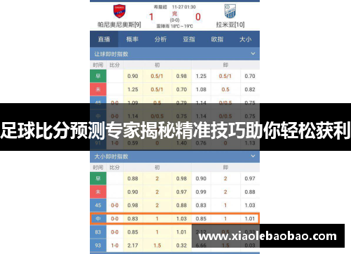 足球比分预测专家揭秘精准技巧助你轻松获利