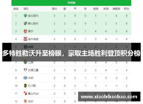 多特胜勒沃升至榜眼，豪取主场胜利登顶积分榜