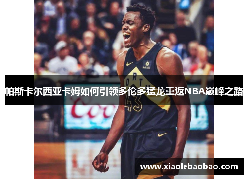 帕斯卡尔西亚卡姆如何引领多伦多猛龙重返NBA巅峰之路